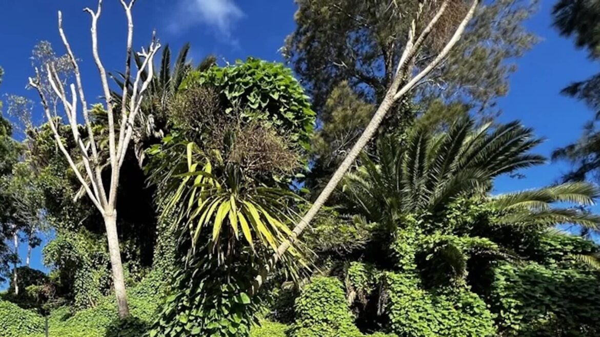 Homeowner shares photo of seemingly unstoppable threat in garden: ‘Gone absolutely rampant’ According to a new study, cereal, bread, pastries, pasta, and flour all have one disturbing thing in common: heavy contamination from PFAS.