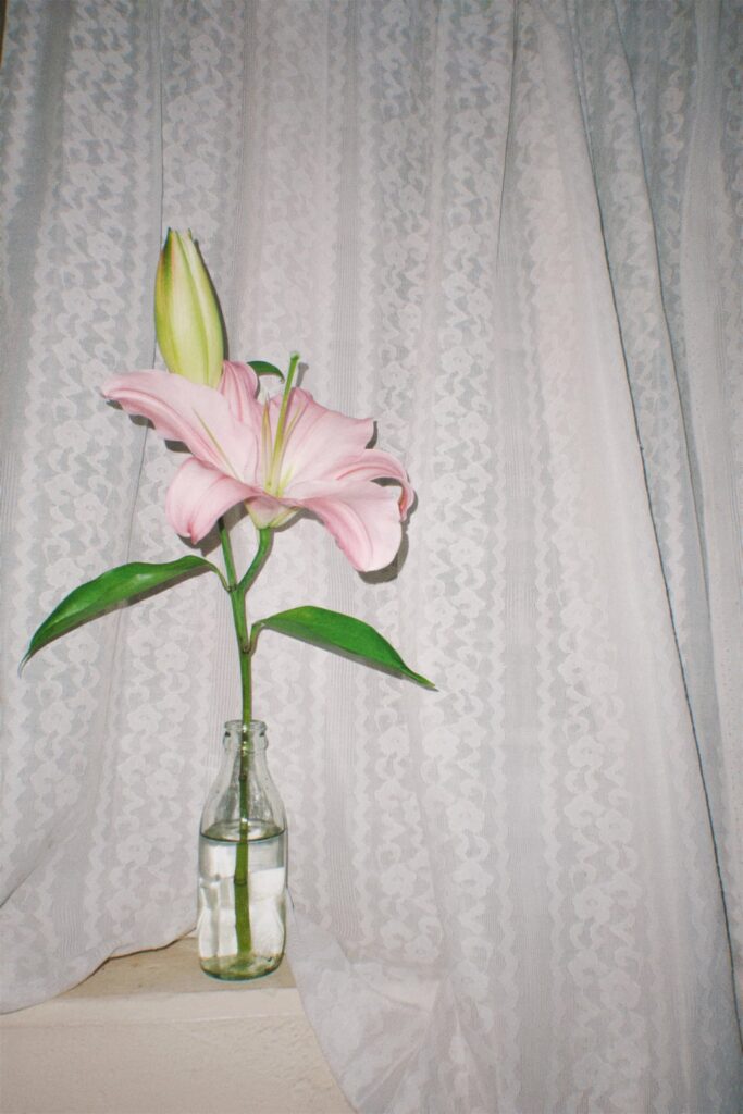 My first lily. Ohh i’m so happy