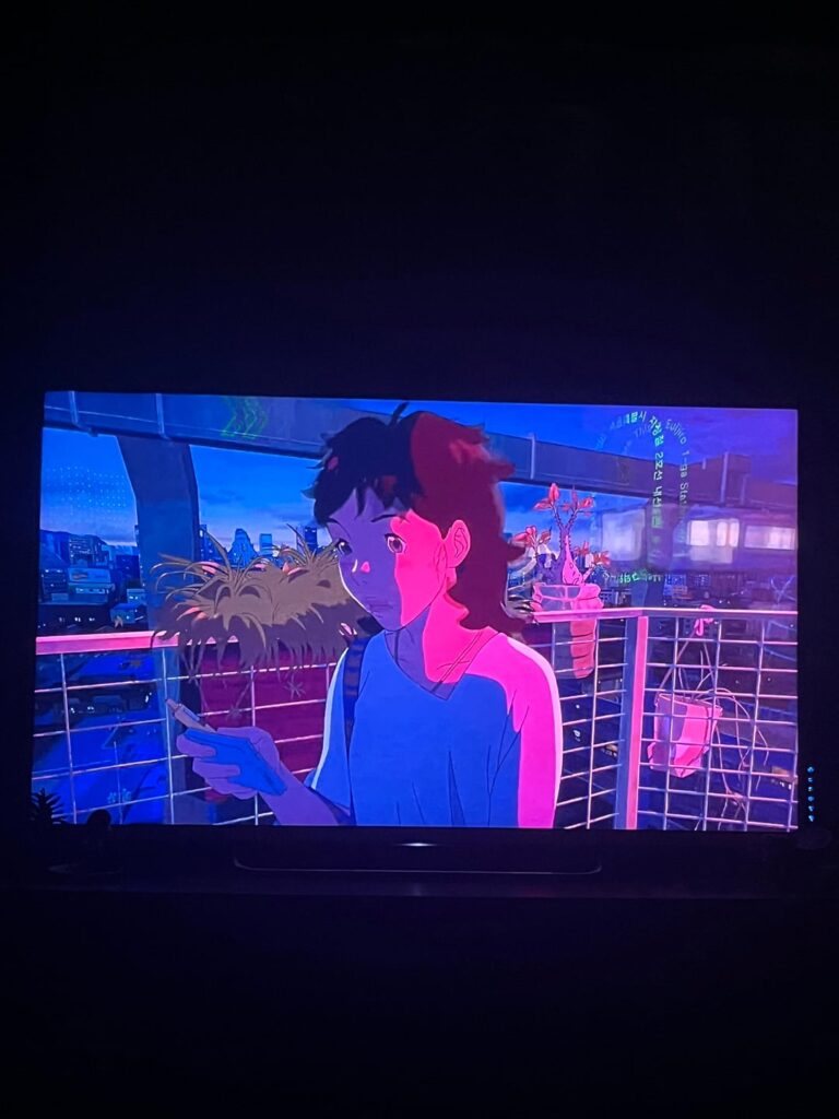 Pachypodium cameo in anime