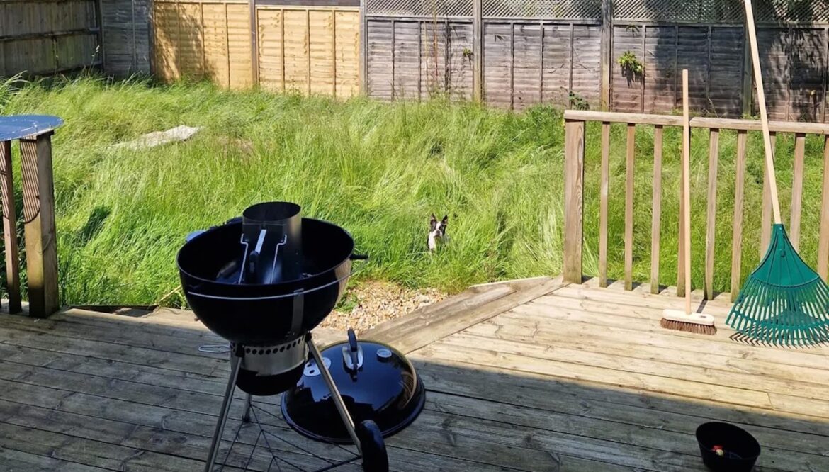 One gardener shared their experience transforming an overgrown backyard into a lovely lawn and native plant garden.