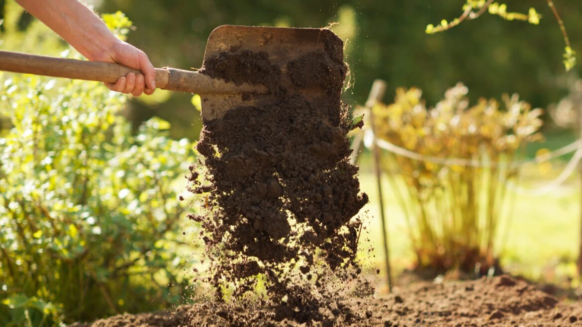 Gardener shares unbelievable before-and-after photos of their transformed backyard: ‘Absolutely amazing’ Upgrading your yard with native plants not only benefits the environment, but one gardener proved that it can help utilize limited space too.