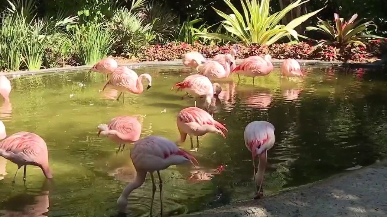 Sunken Garden monitoring cold temperatures