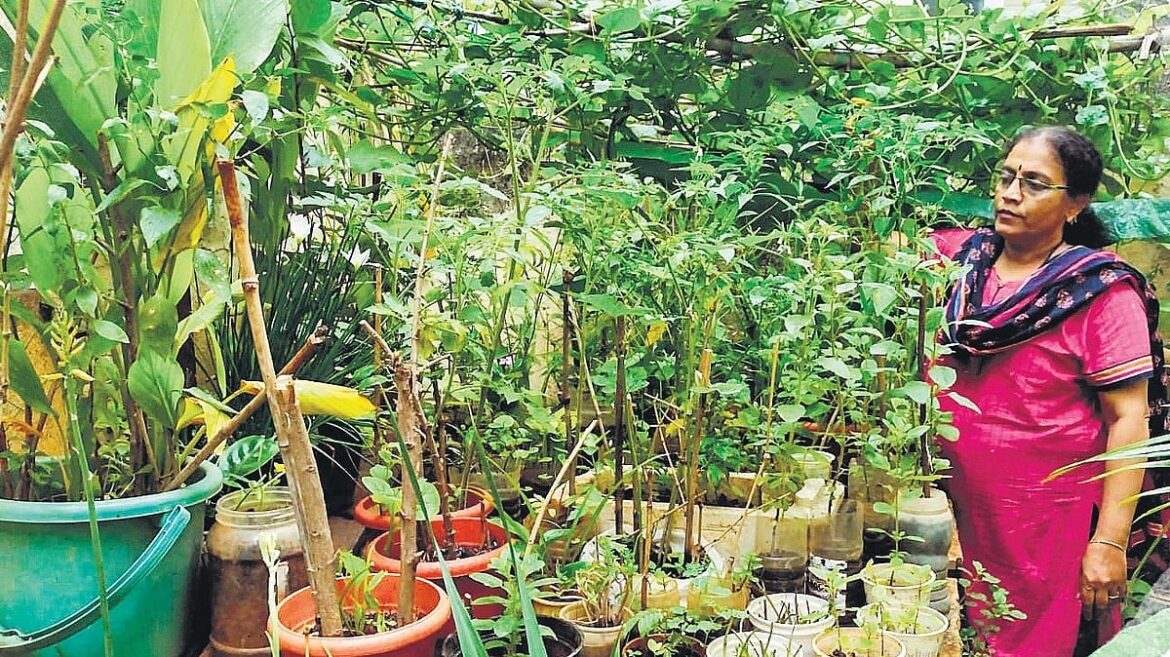 Small spaces, big harvests