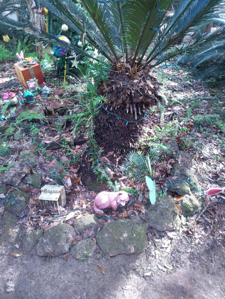 To wash or not to wash?