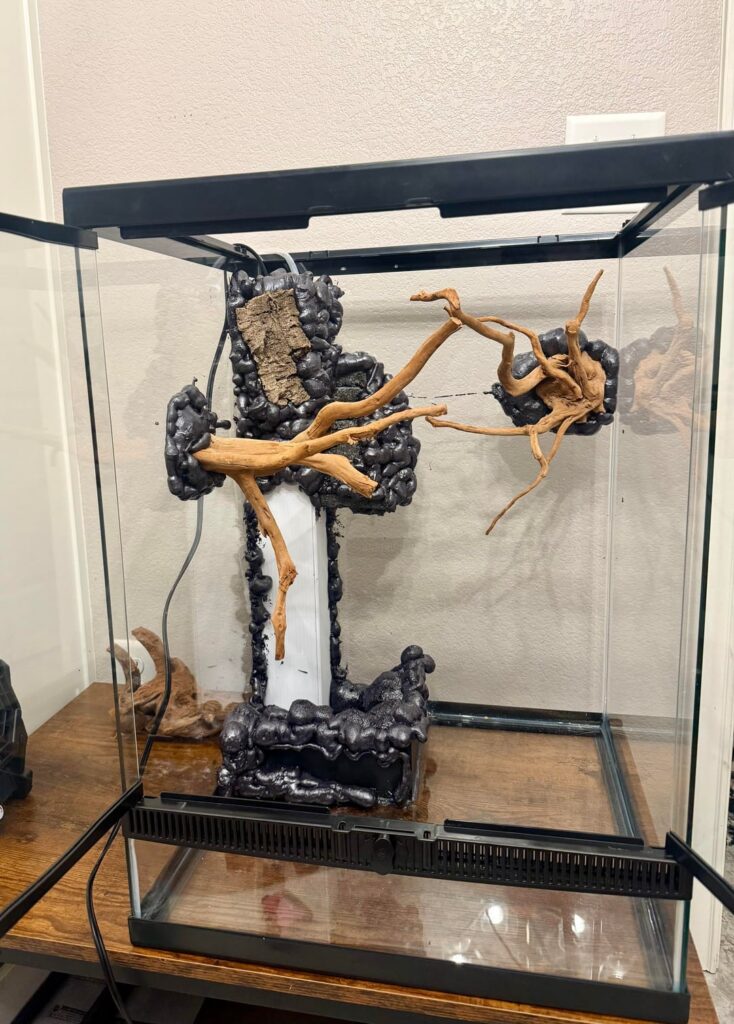 First vivarium build with waterfall First vivarium build with waterfall