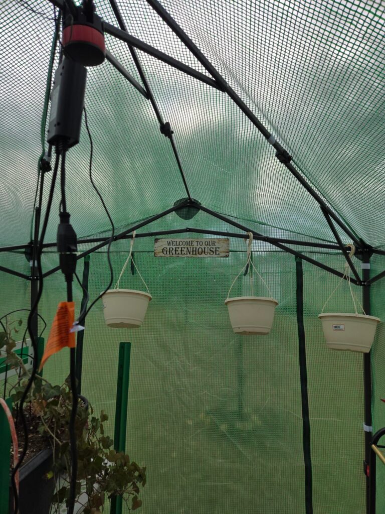 My Little Greenhouse that Could 😂