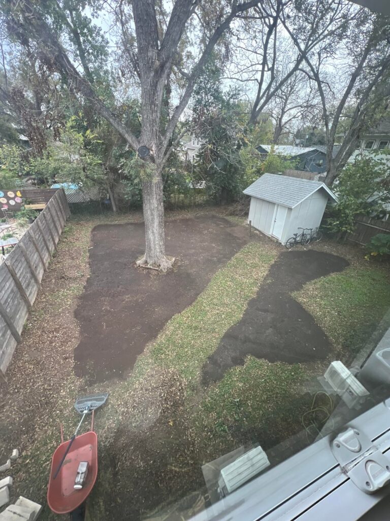 Squirrels digging up wildflower seeds