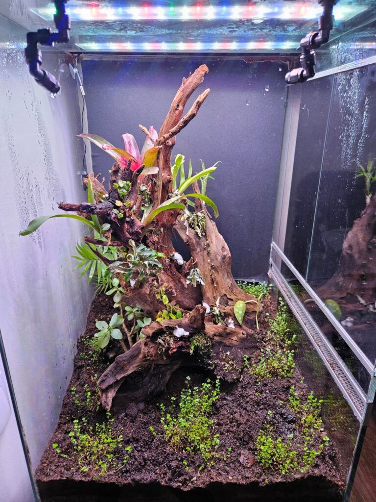 Should I add a 3rd mistking nozzle? Should I add a 3rd mistking nozzle?