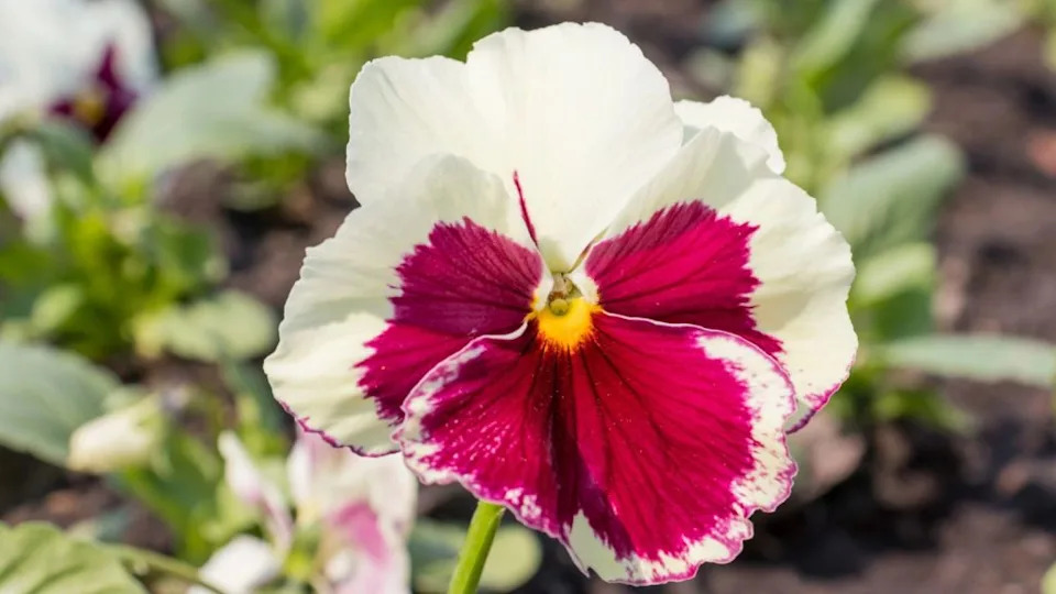 Image Credit: Deposit Photos