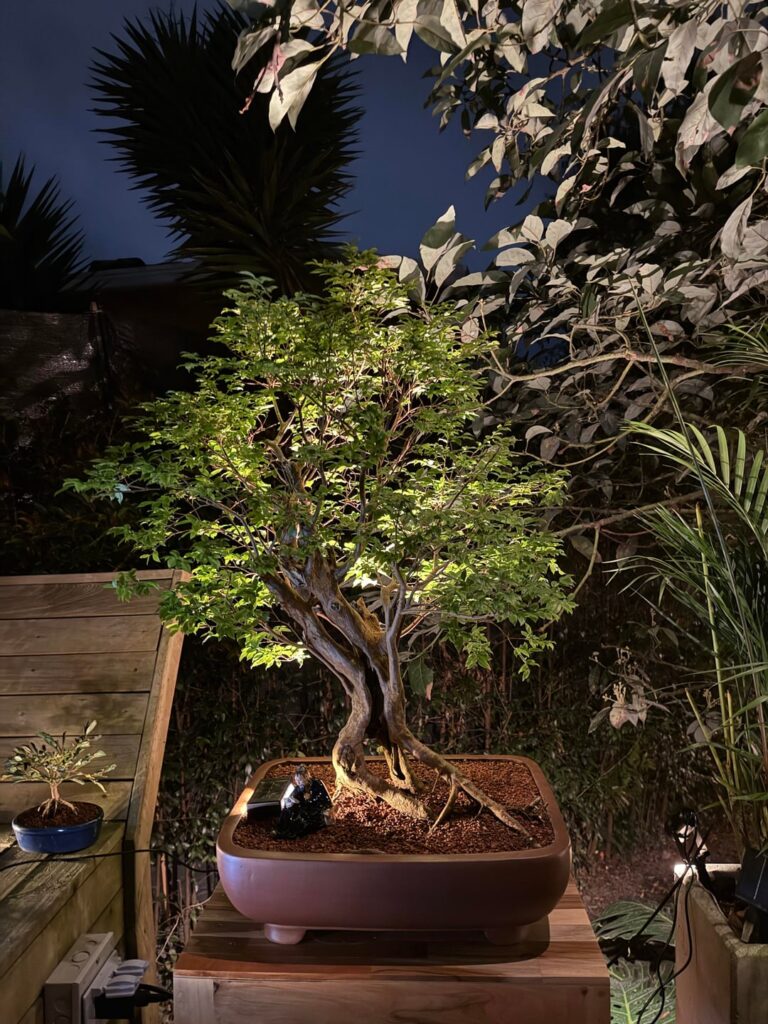 The rains are starting.