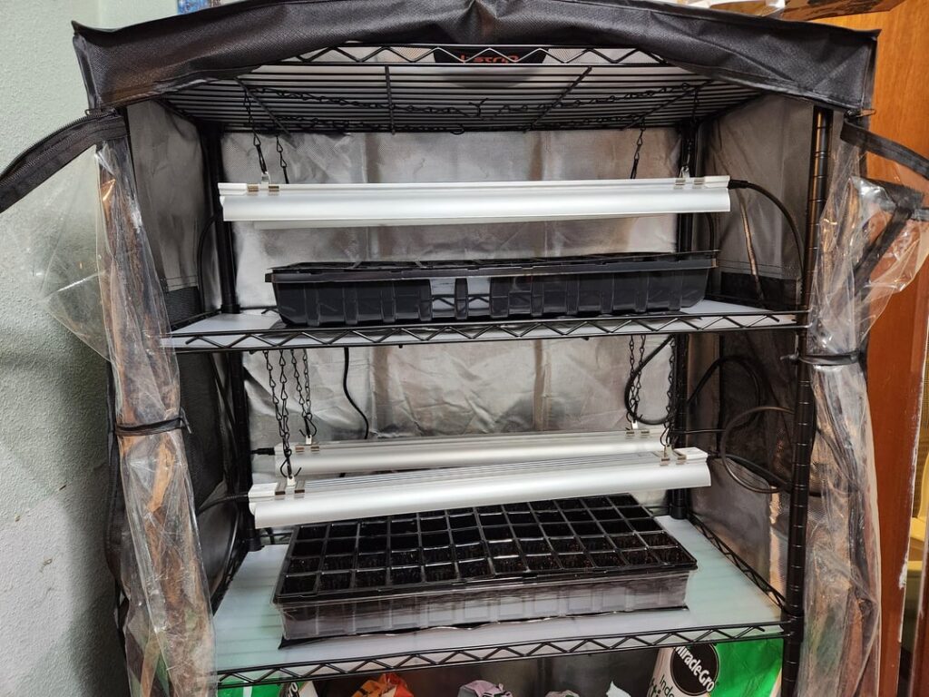 How does my seed setup look for the coming spring?