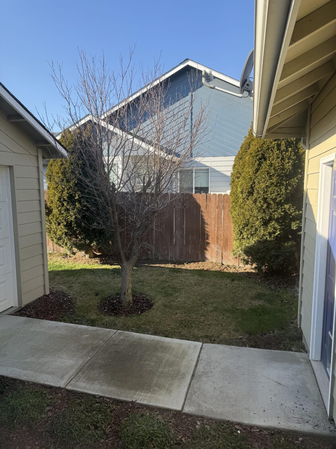 Looking for hedge advice