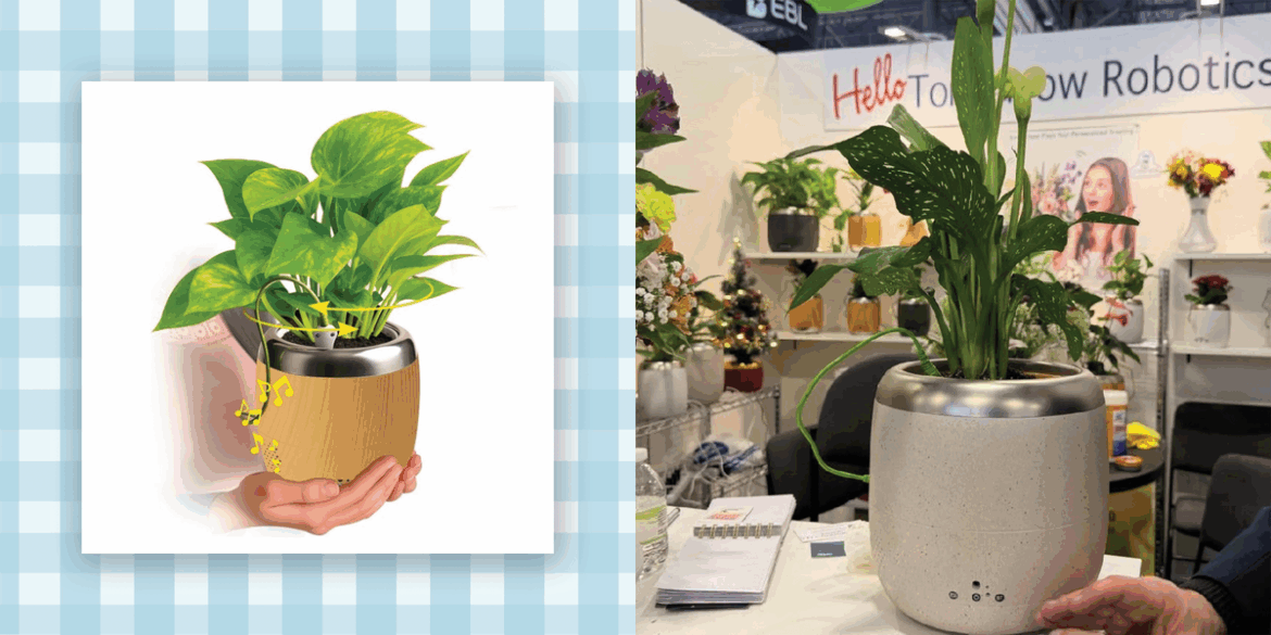 I Tried the $80 Smart Pot That Makes Houseplants Talk and Dance Search