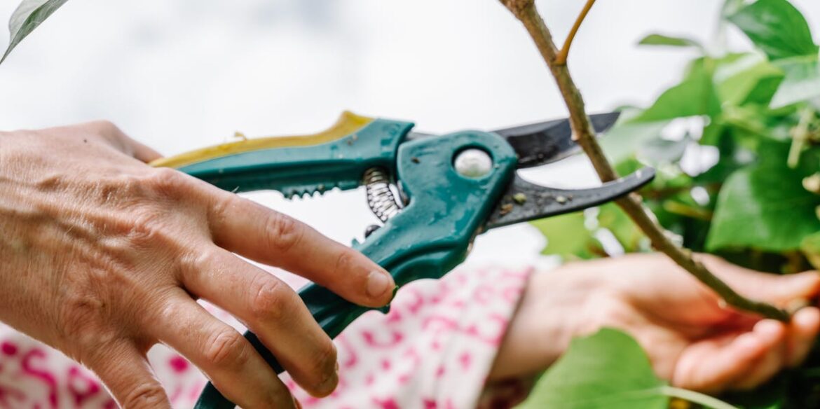 6 Plants To Prune In February Before It's Too Late