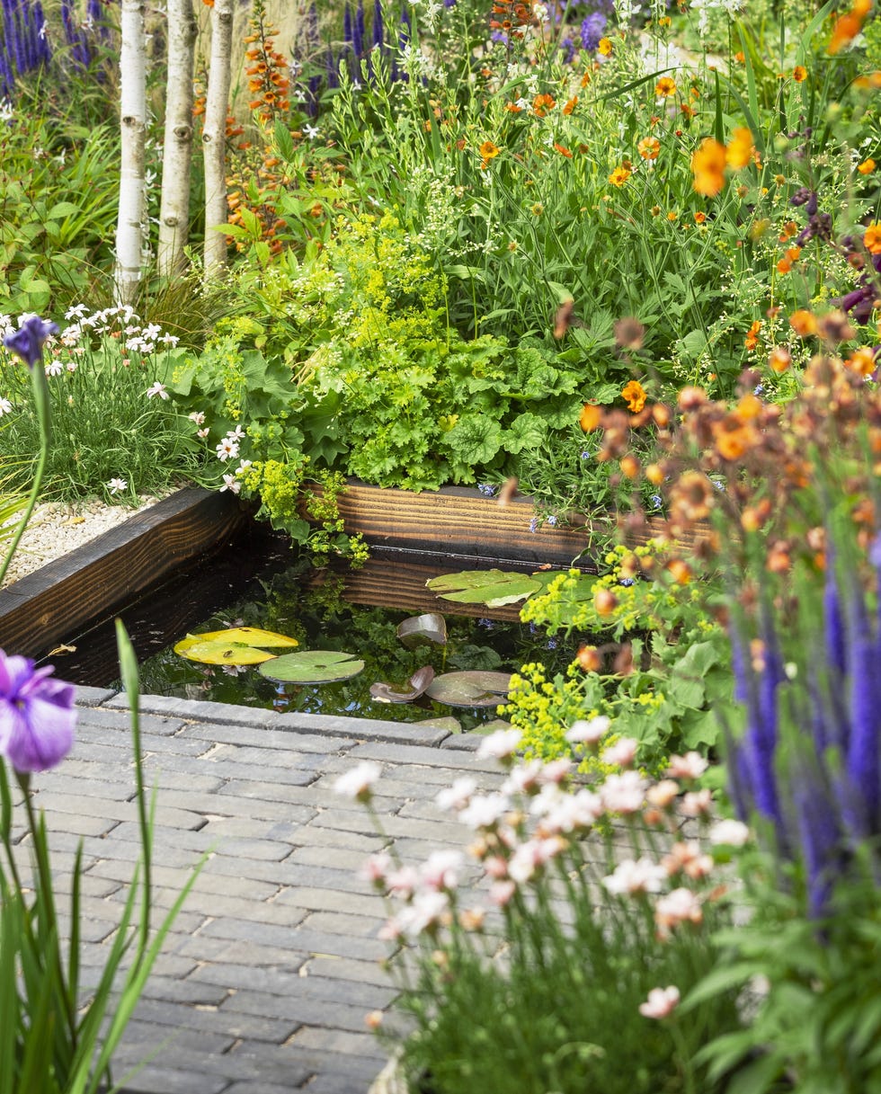 Nick Bailey's Gardeners' World pond garden with various flowers and a small pond