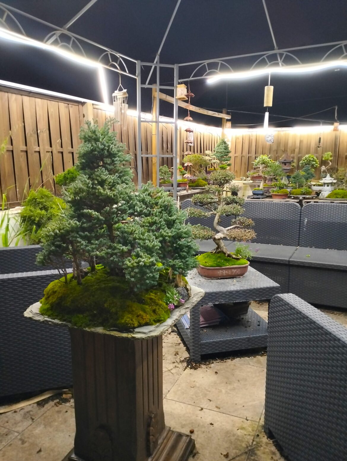 A place to sit down, watch my trees and project the works to improve them....