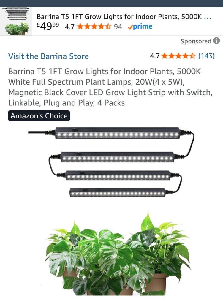 Advice on lighting for moss/asparagus fern and cacti Advice on lighting for moss/asparagus fern and cacti