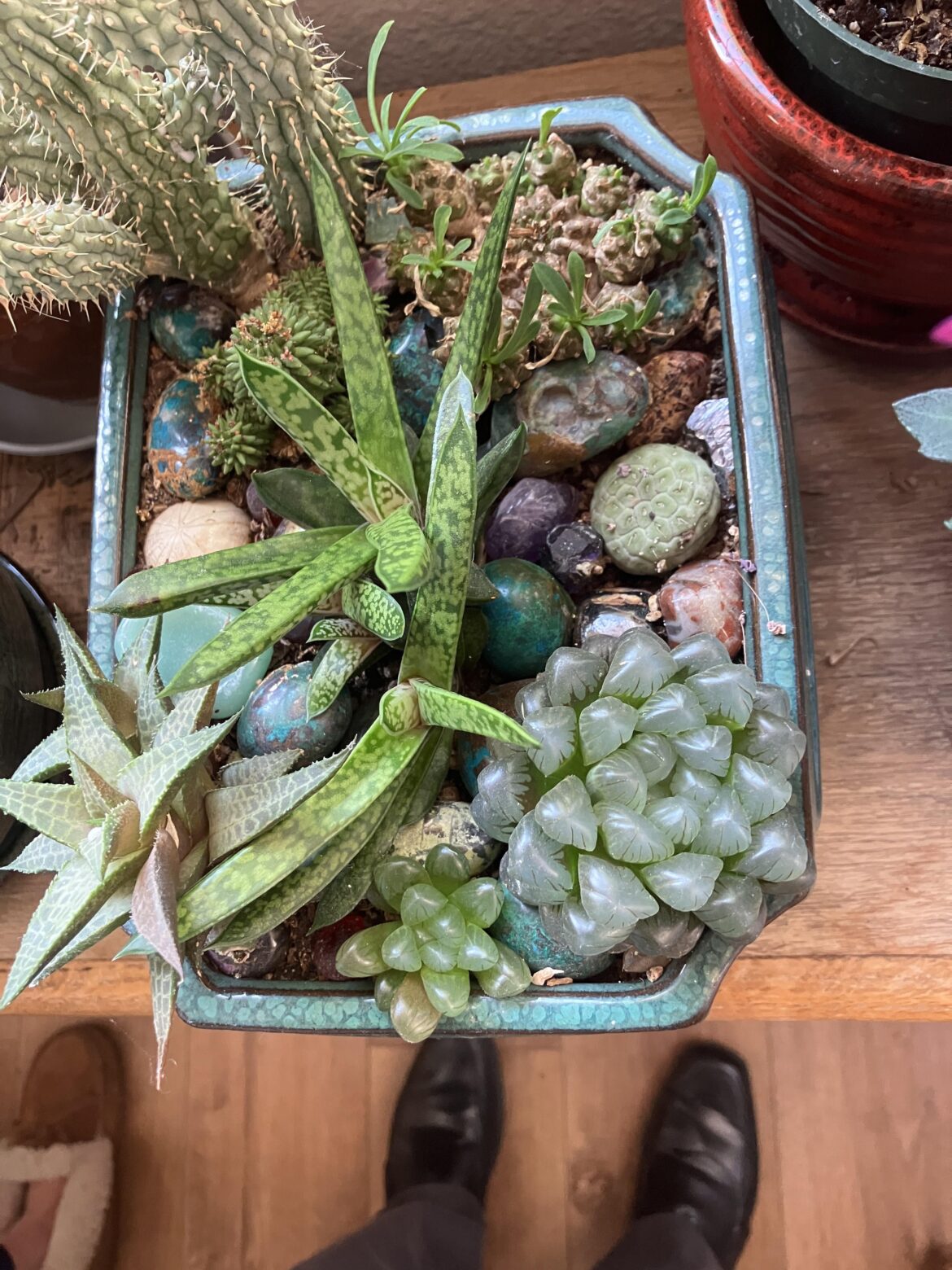 Update on 5 yr old post