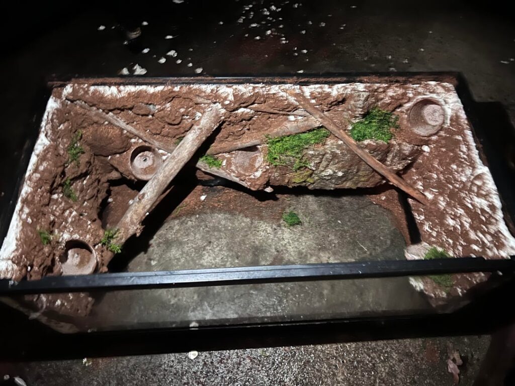 Thoughts on my first dart enclosure?