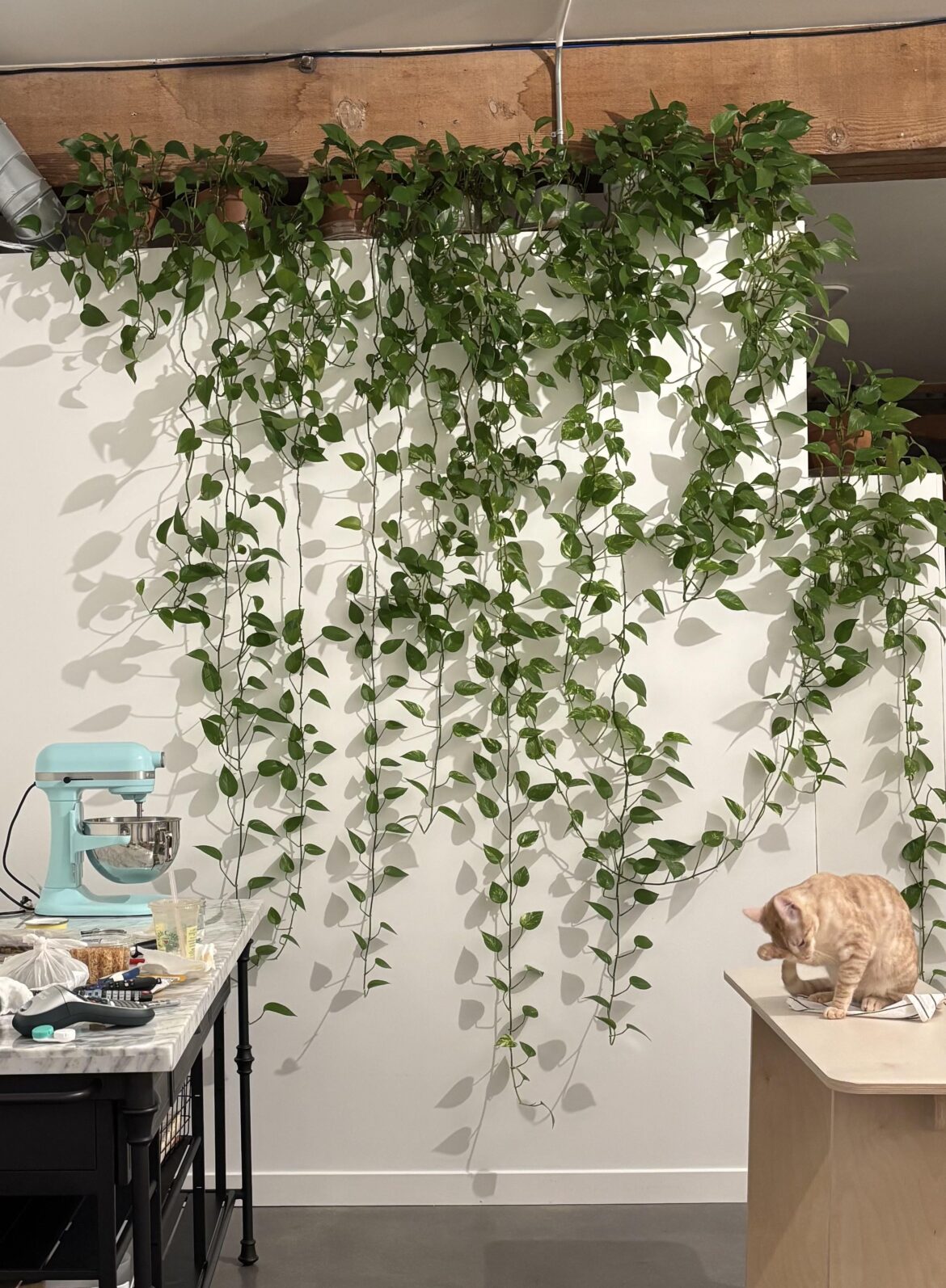 Can’t have nice things Can’t have nice things