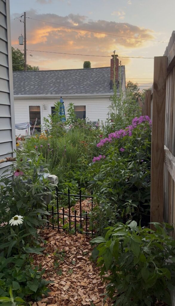2025 native garden in 6b