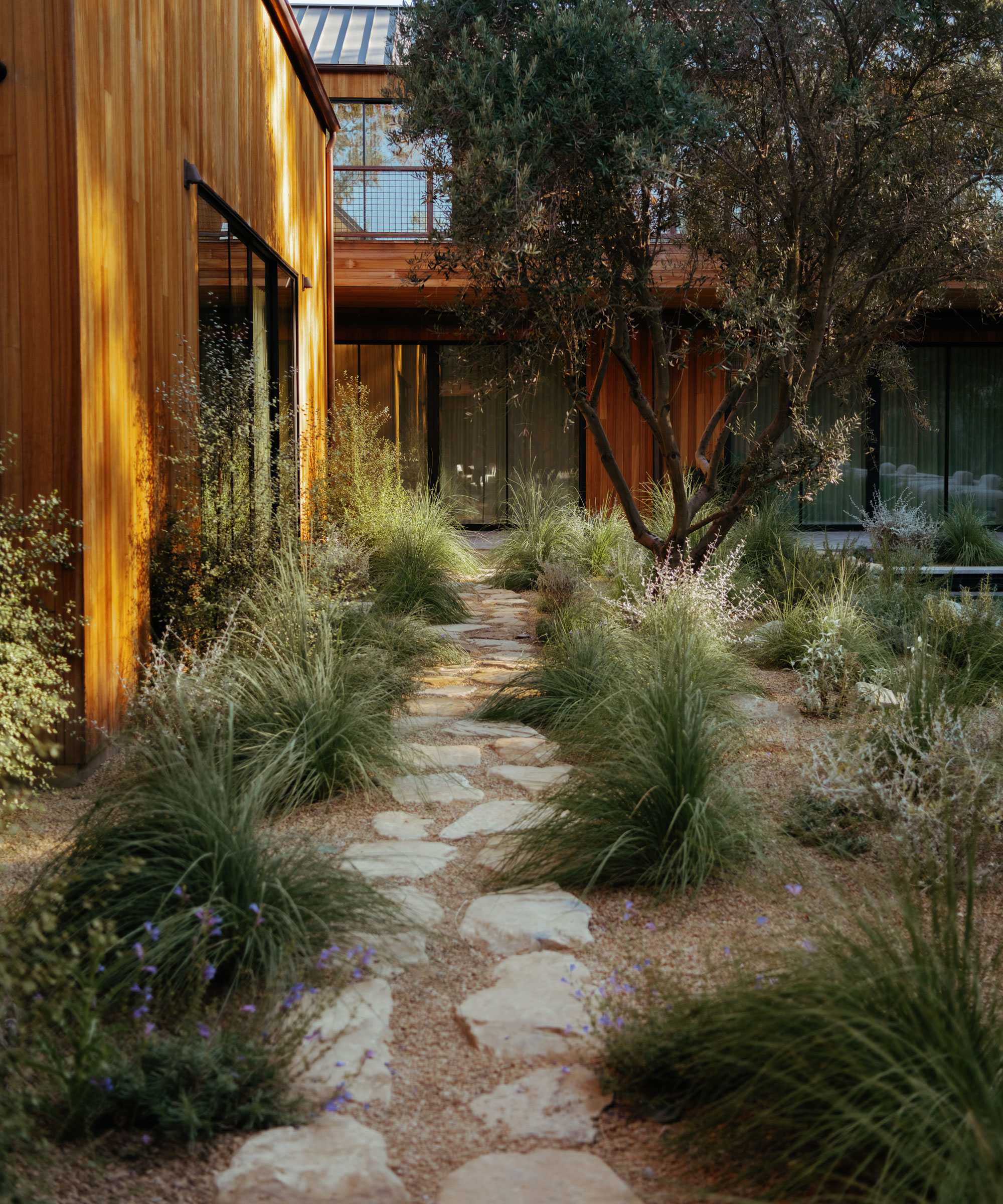 stepping stone path and ornamental grasses set in gravel in modern garden design