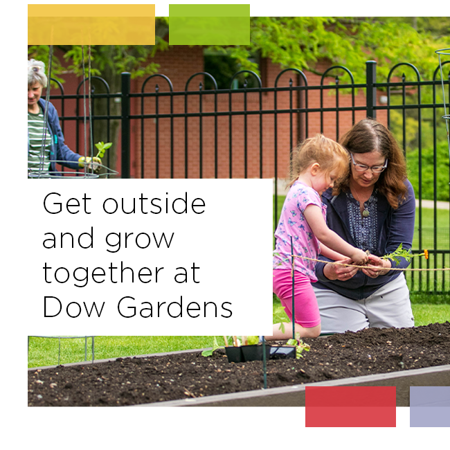Dow Gardens’ Growin’ Gardeners offers 8-week family classes Dow Gardens will be offering a Growin' Gardeners Program in its children's garden from June 9 through July 30.