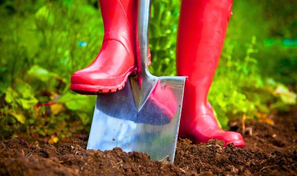 Picture of someone digging up their garden Picture of someone digging up their garden