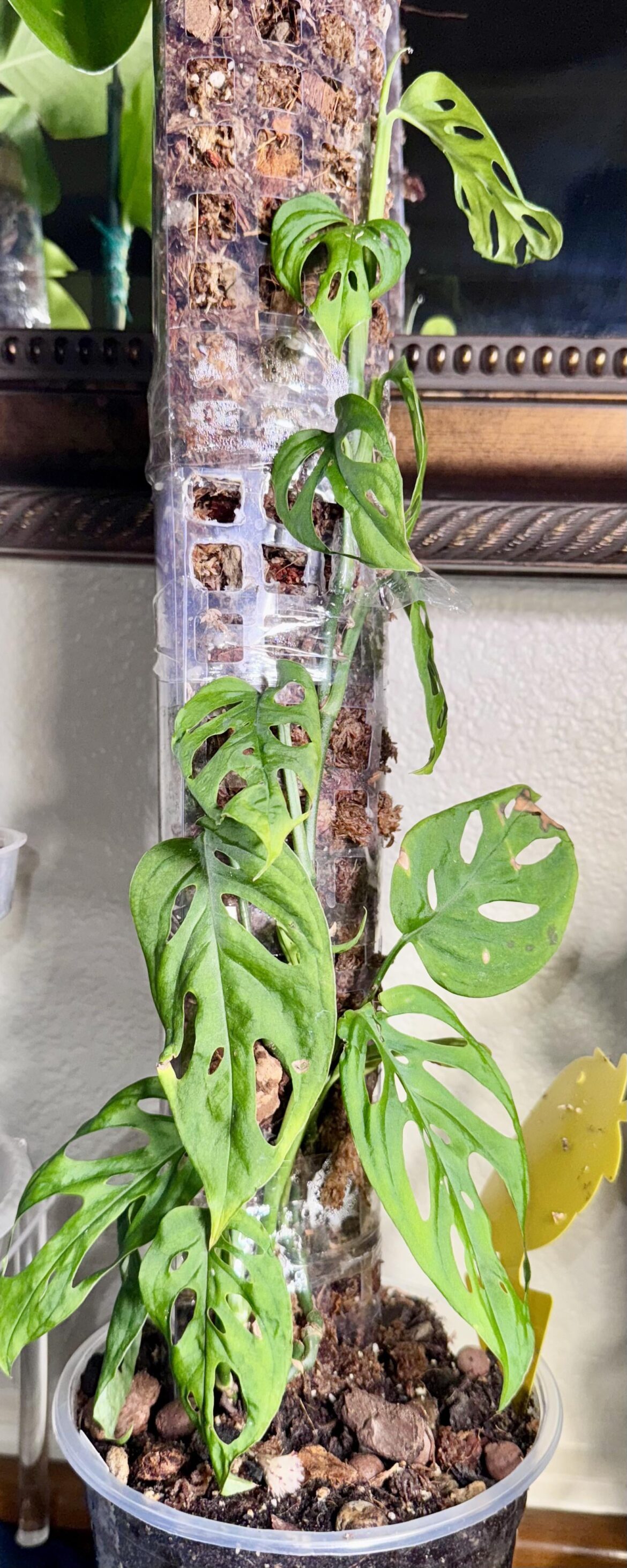 Whats wrong?🤷🏻‍♀️