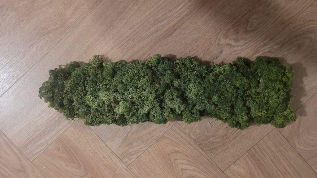 Why is my moss drying so fast? Why is my moss drying so fast?