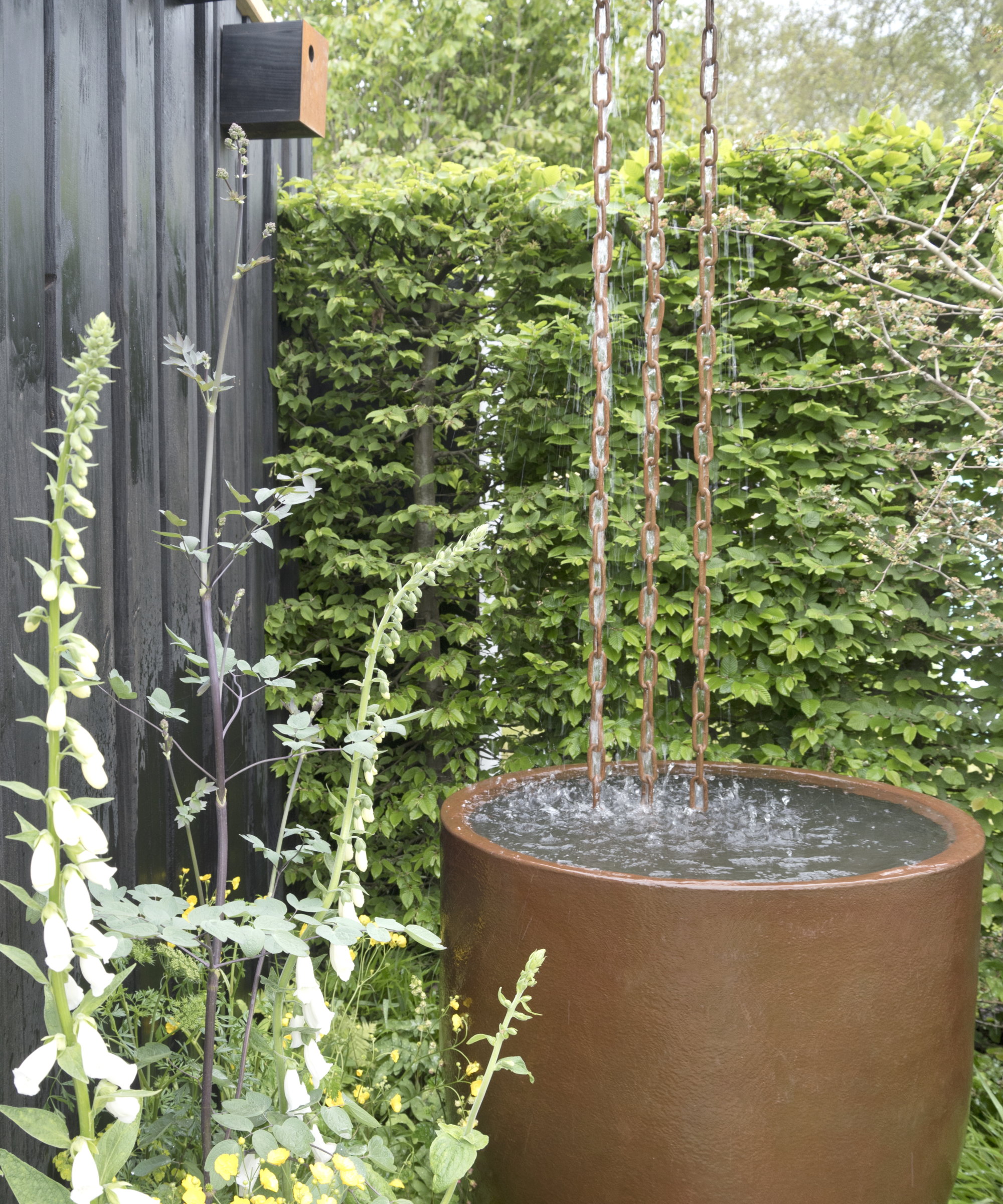 A large water feature and rain chain in front of a tall green hedge