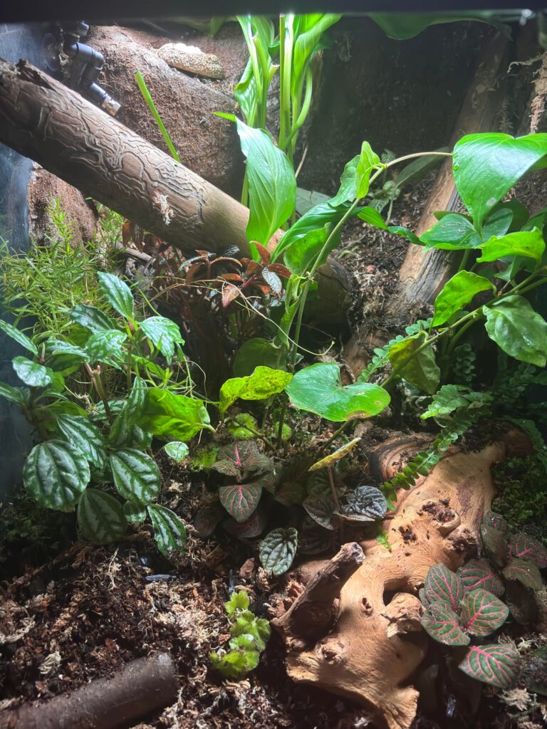 My First build!! Can anyone give feedback please My First build!! Can anyone give feedback please