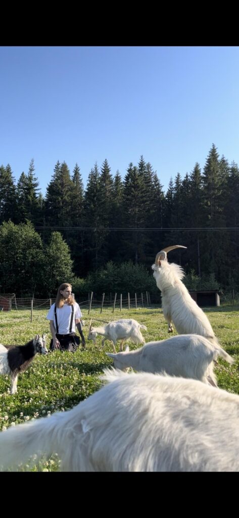 Me and my Swedish goats (lappgetter)