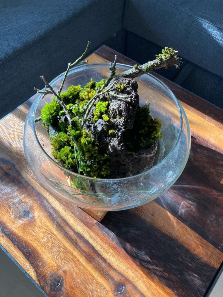 How can i get this to survive