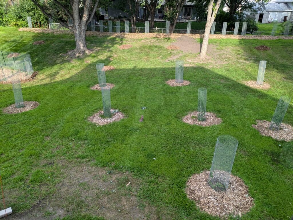 Townhouse HOA Wins + Landscaping Townhouse HOA Wins + Landscaping