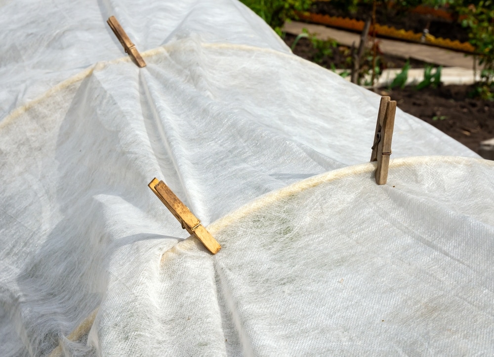 Securing Thermal Protection For Early Season Crops Using Low Tech Methods In Small Scale Vegetable Production