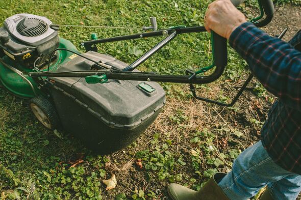 Senior Woman Mowing the Lawn in spring Senior Woman Mowing the Lawn in spring