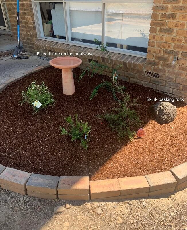 One enthusiastic gardener shared their amazing experience with transforming their yard into a native plant garden.