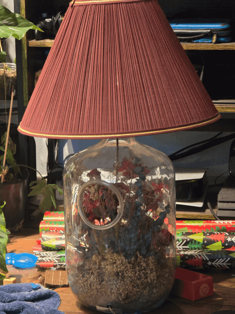 Before and after. A lamp turned viv for a singleton vampire crab.