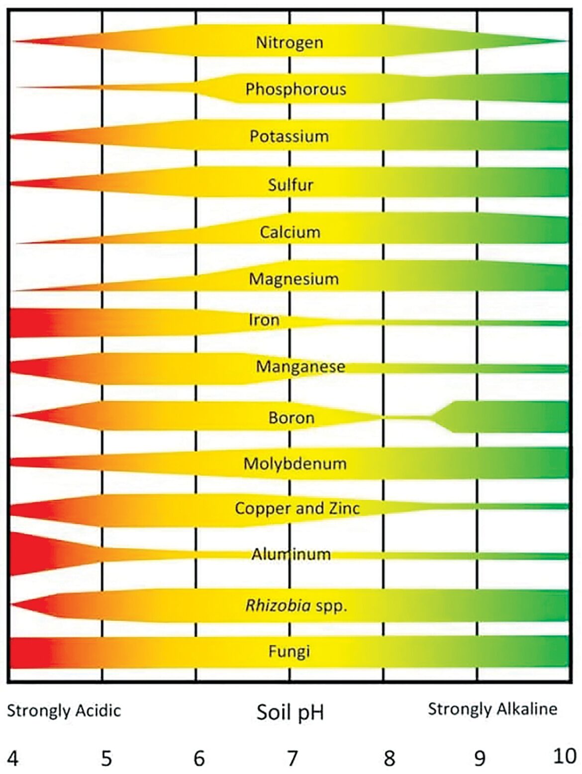 Ask A Master Gardener: Garden Health And Soil pH