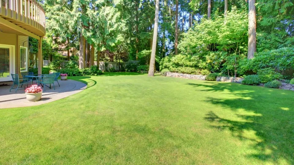 Large green back yard with browns house.