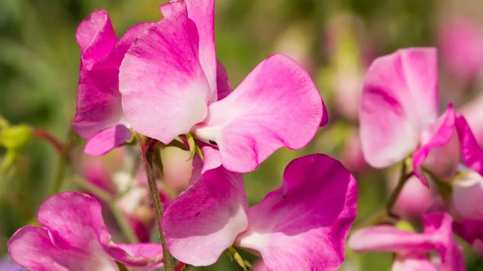 Image Credit: Deposit Photos