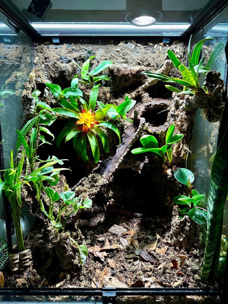 New build for a crested gecko, almost complete (24”x18”x36”). New build for a crested gecko, almost complete (24”x18”x36”).