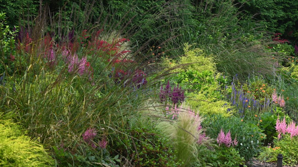 naturalistic mosaic planting design with perennials and ornamental grasses