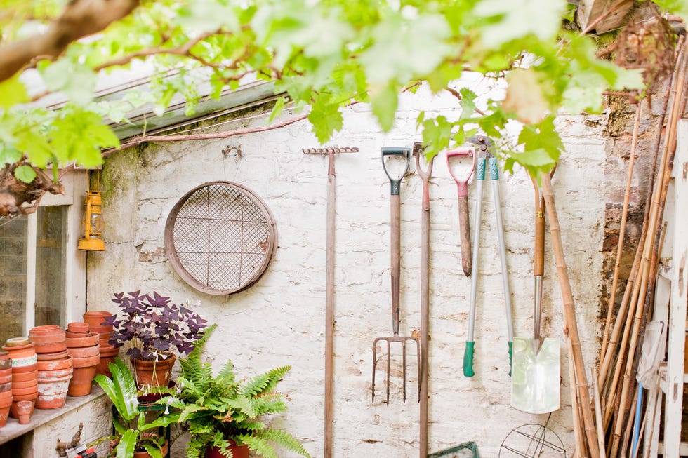 tools hanging in shed