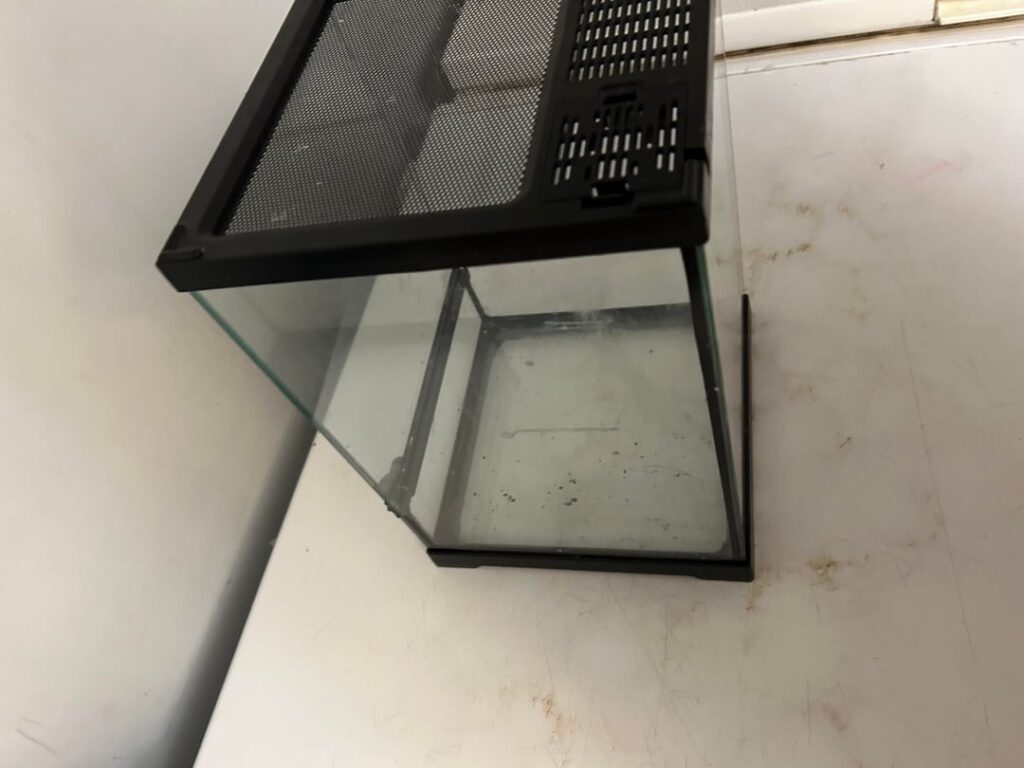 What can I put in here?