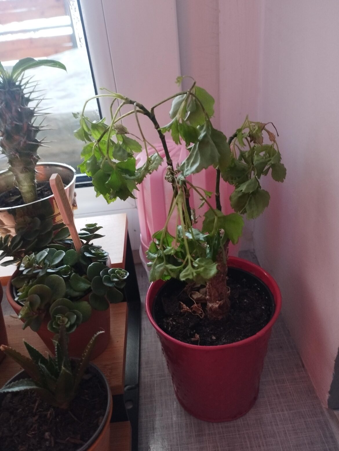 What’s happening? What's happening?