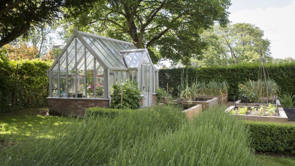 5 Vegetables to Take Out of Your Greenhouse in May A greenhouse stands at the end of a raised bed vegetable garden, surrounded by large hedges