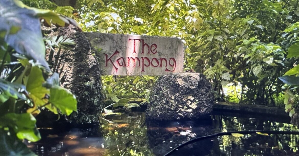 This hidden garden in South Florida houses thousands of tropical plant species This hidden garden in South Florida houses thousands of tropical plant species