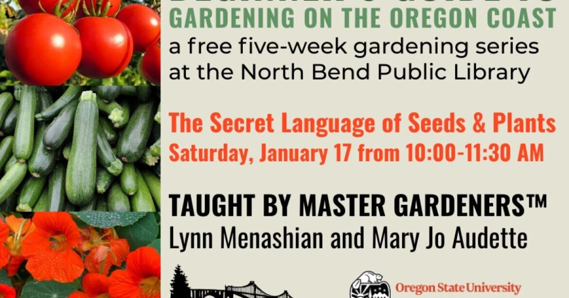 Gardening for beginners: Let’s Plant Something Gardening for beginners: Let’s Plant Something